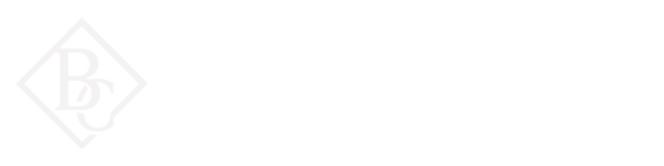 Bayhaus & Co Logo header (1)